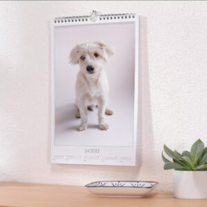 Fali naptár kutya portréval 2025 július hónapra.