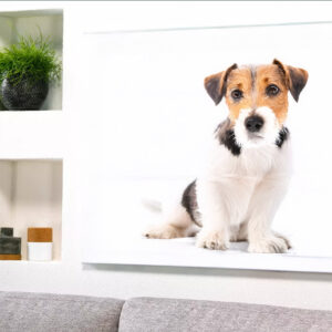 Vászonkép falon kutyaportréval.