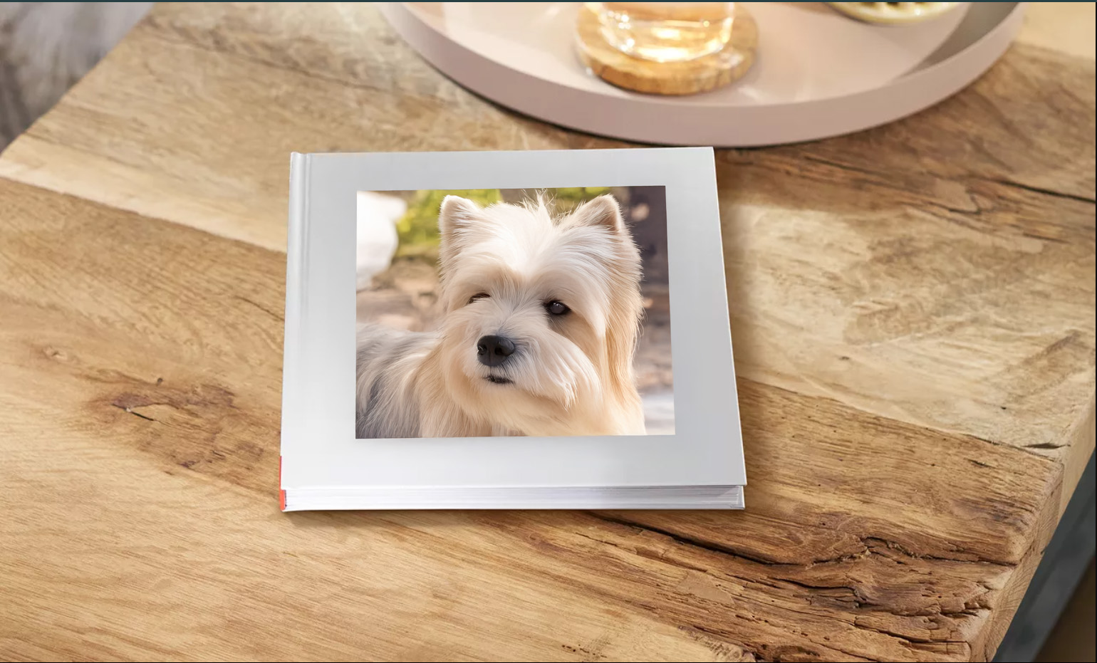 Fotókönyv kutyaportréval faasztalon.